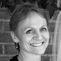 Chris Wold Dyrud Illustrator